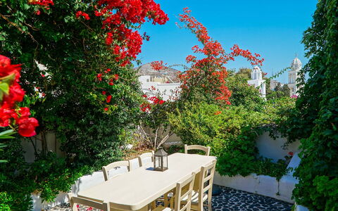 Mansion Sophia: Bloem, Struik, Bloempot, Tuin, De Lente, Kamerplant, Schaduw, Stoel, Binnenplaats