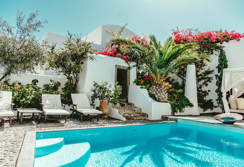 Mansion Sophia: Zwembad, Toevlucht, Eco Hotel, Hotel, Villa, Hacienda, Buitenmeubels, Ligstoel, Kamerplant, Bloempot