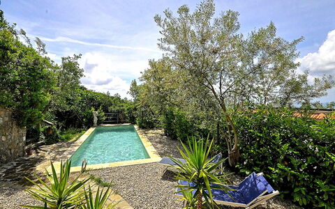 Villa del Mare: Blauw, Struik, Tuin, Landscaping, Backyard, Zwembad, Schaduw, Werf, Waterpartij, Gang