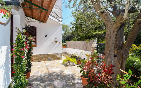 Villa del Mare: Bloem, Bloempot, Tuin, Flagstone, Kamerplant, Landscaping, Werf, Backyard, Hacienda