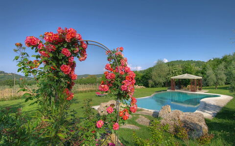 Villa Incanto: Bloem, Struik, Tuin, Petal, De Lente, Bloeiende Plant, Rose Family, Tuinrozen, Landscaping, Plantage