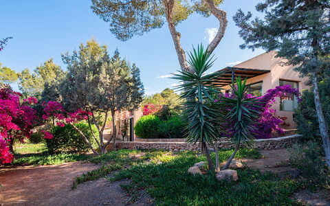 Villa Luanda: Bloem, Vegetation, Struik, Tuin, Roze, De Lente, Woody Plant, Landscaping, Botanische Tuin, Schaduw