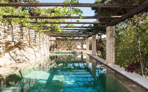 Villa Oasis: Natuurlijk Materiaal, Waterpartij, Stenen Muur, Zwembad, Pergola