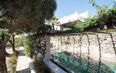 Villa Oasis: Tuin, Schaduw, Landscaping, Backyard, Flagstone, Binnenplaats, Werf, Waterpartij, Gang, Zwembad