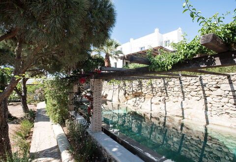 Villa Oasis: Tuin, Schaduw, Landscaping, Backyard, Flagstone, Binnenplaats, Werf, Waterpartij, Gang, Zwembad