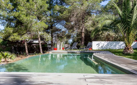 Villa Roja: Zwembad, Toevlucht, Schaduw, Tuin, Eco Hotel, Landscaping, Waterpartij, Backyard, Buitenmeubels