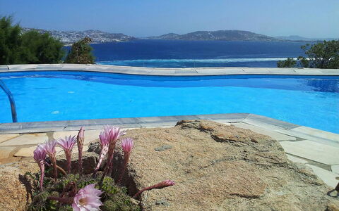 Villa Rose 1: Blauw, Water, Zwembad, Buitenmeubels, Toevlucht, Kust, Tropen, Schaduw, Badplaats, Eco Hotel
