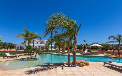 Villa Violet: Boom, Zwembad, Toevlucht, Hacienda, Landscaping, Landgoed, Eco Hotel, Schaduw, Villa