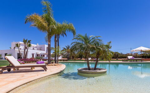 Villa Violet: Zwembad, Toevlucht, Hacienda, Eco Hotel, Landscaping, Tuin, Villa, Badplaats, Schaduw