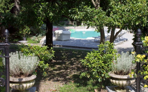 Villa Virginia: Struik, Tuin, Bloempot, Schaduw, De Lente, Landscaping, Flagstone, Backyard, Werf