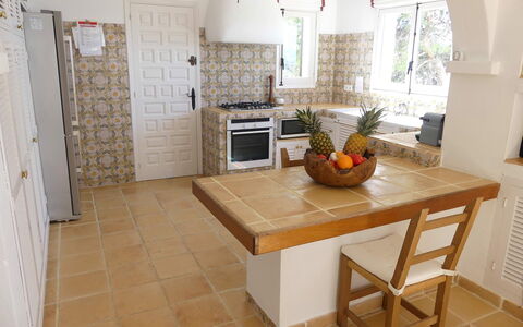Villa Roxy: Meubilair, Flooring, Verdieping, Interieur Ontwerp, Hout, Keuken, Countertop, Toestel Van De Keuken, Stoel, Kamer