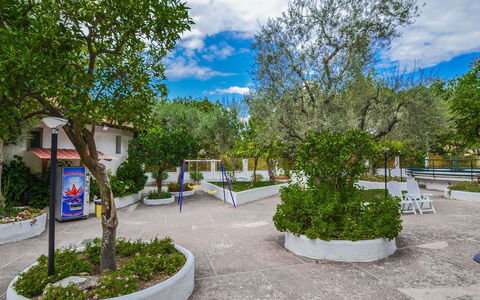 Casa Primavera: Woody Plant, Schaduw, Tuin, Landscaping, Werf, Hacienda, Oprit, Binnenplaats, Backyard