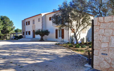 Can Mako