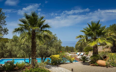 Villa Mallorca: Blauw, Vegetation, Toevlucht, Tuin, Tropen, Eco Hotel, Schaduw, Landscaping, Zwembad
