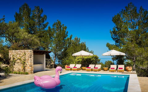 Villa Carlos: Zwembad, Toevlucht, Buitenmeubels, Eco Hotel, Ligstoel, Schaduw, Paraplu, Villa, Tropen, Hotel