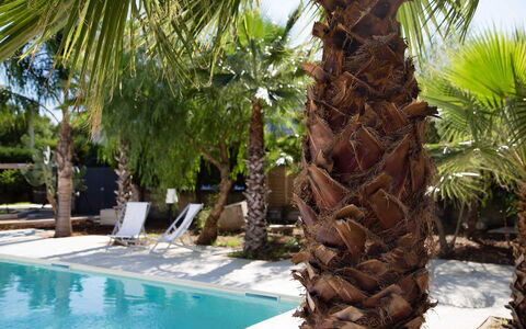 Villa Salentina: Zwembad, Woody Plant, Toevlucht, Eco Hotel, Schaduw, Tropen