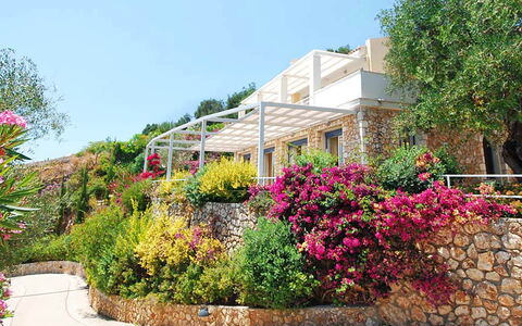 Villa Aspro: Bloem, Struik, Tuin, Roze, De Lente, Landscaping, Werf, Botanische Tuin, Balkon, Villa