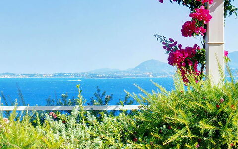 Villa Aspro: Bloem, Blauw, Groen, Vegetation, Zomer, Zee, Kust En Oceanic Landvormen, Oceaan, De Lente