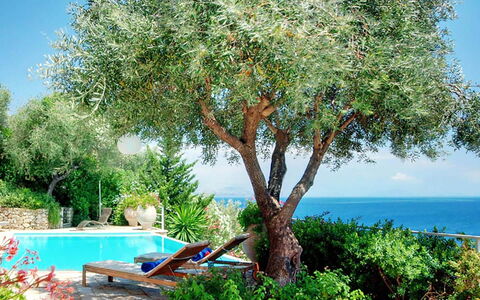 Villa Azzurra: Woody Plant, Tuin, Schaduw, Landscaping, Buitenmeubels