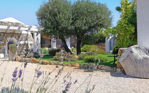 Villa la Rezza: Struik, Tuin, Groundcover, Landscaping, Werf, Schaduw, Backyard, Gazon, Ontwerp