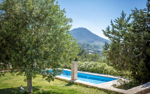 Villa Sharon: Struik, Schaduw, Tuin, Landscaping, Evergreen, Eco Hotel