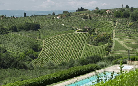 Villa Chianti: Plantage, Landbouw, Landschap, Struik, Land Lot, Landelijk Gebied, Heuvel Station, Veld, Groundcover, Wijngaard