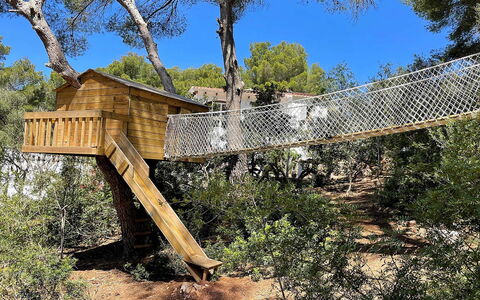 Villa Alejandra: Boom, Hout, Jungle, Vakantie