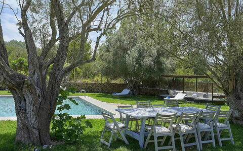 Villa Roger: Meubilair, Tuin, Schaduw, Zwembad, Buitenmeubels, Gazon, Backyard, Stoel, Werf, Landscaping