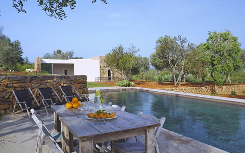 Villa Cave: Zwembad, Landgoed, Schaduw, Tuin, Landscaping, Backyard, Stoel, Buitenmeubels, Werf, Toevlucht