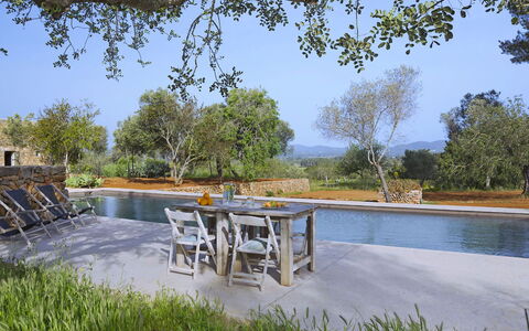 Villa Cave: Boom, Zwembad, Buitenmeubels, Landscaping, Vijver, Reflectie, Reflecting Pool, Flagstone