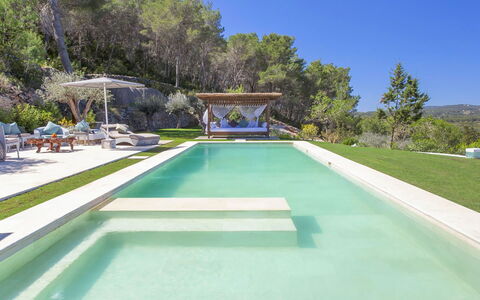 Villa Blueberry: Zwembad, Toevlucht, Samengesteld Materiaal, Thermae, Eco Hotel, Vrije Tijd, Tuin, Landscaping, Landgoed, Waterpartij