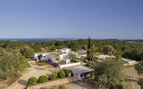 Villa Papiro: Boom, Woongebied, Landschap, Huis, Landgoed, Land Lot, Landscaping, Voorstad, Hacienda, Luchtfotografie