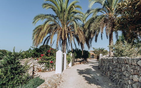 Villa Horses: Lucht, Vegetation, Struik, Woody Plant, Landscaping, Tropen