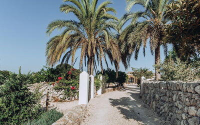 Villa Horses