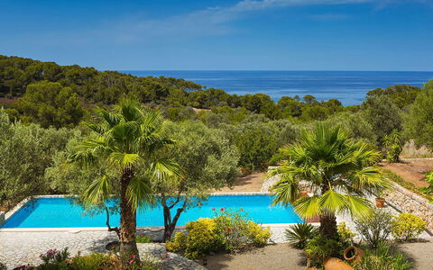 Villa Welcome: Blauw, Zwembad, Toevlucht, Tropen, Kust, Eco Hotel, Kust, Baai, Caribbean
