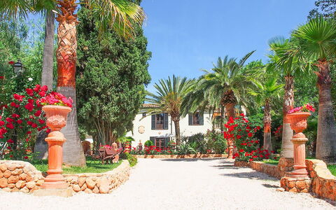 Villa Peacock: Boom, Hacienda, Tuin, Schaduw, Landscaping, Toevlucht, Eco Hotel