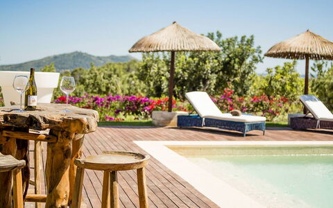 Villa Vineyard: Toevlucht, Buitenmeubels, Zwembad, Eco Hotel, Schaduw, Landgoed, Hacienda, Paraplu, Patio, Villa