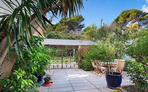 Villa Fullmoon: Groen, Blad, Vegetation, Struik, Tuin, Plantengemeenschap, Bloempot, Schaduw, Woody Plant