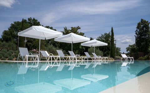Villa Ripa: Zwembad, Buitenmeubels, Meubilair, Toevlucht, Ligstoel, Stoel, Eco Hotel, Schaduw, Paraplu, Badplaats