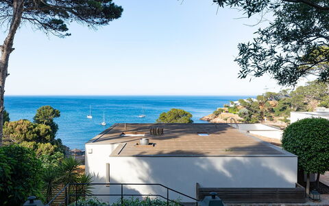 Villa Bellalta: Boom, Kust En Oceanic Landvormen, Kust, Zee, Oceaan, Landgoed, Tropen, Schaduw, Eco Hotel