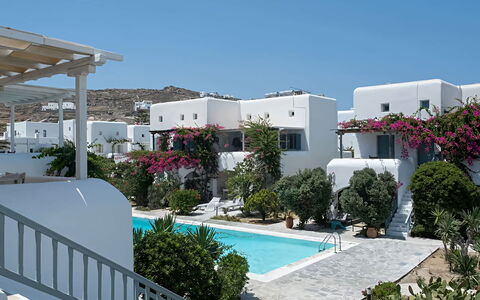 Mikonos Pool House 6: Zwembad, Toevlucht, Landscaping, Binnenplaats, Balkon, Eco Hotel, Kamerplant, Hotel, Bloempot
