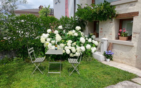 La Casetta dei Palù, Valdobbiadene: Bloem, Struik, Tuin, De Lente, Bloeiende Plant, Backyard, Landscaping, Bloempot, Werf, Gazon