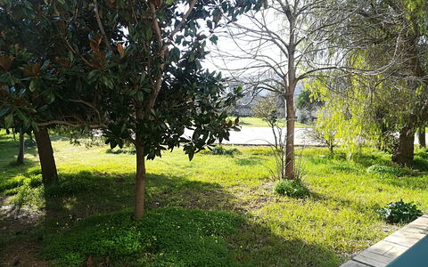 Noemi'S House in Otranto: Blad, Afdeling, Struik, Tuin, Trunk, Woody Plant, Gazon, Schaduw, Landscaping, Werf
