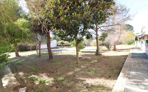 Noemi'S House in Otranto: Blad, Afdeling, Trunk, Woody Plant, Schaduw, Tuin, Bodem, Landscaping, Werf, Gang