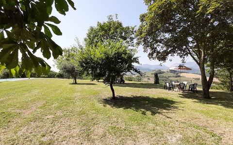 Villa Felice, Private Pool and Hills: Boom, Gras, Afdeling, Plain, Landschap, Grasland, Land Lot, Zonlicht, Gazon, Weide