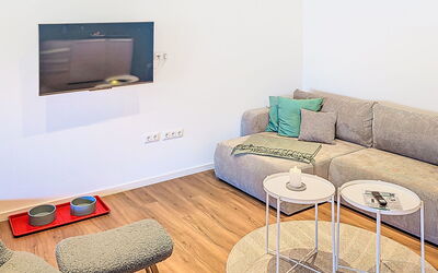 Accommodatie:&nbsp;Hundegutshof 105.2