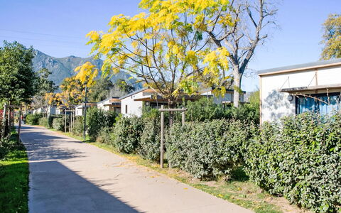 Accommodatie:&nbsp;Lodge Premium 5P 600.3