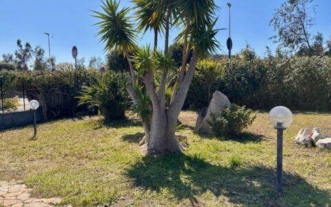 Villetta del Mirto: Struik, Tuin, Woody Plant, Landscaping, Schaduw, Werf, Gang, Botanische Tuin