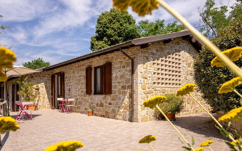 Il Giuncheto Apartments, Pool, Umbrian Countryside: Verblijf, Huis, Deur, Huis, Tuin, Boerderij, Bloempot, Landgoed, Werf, Backyard
