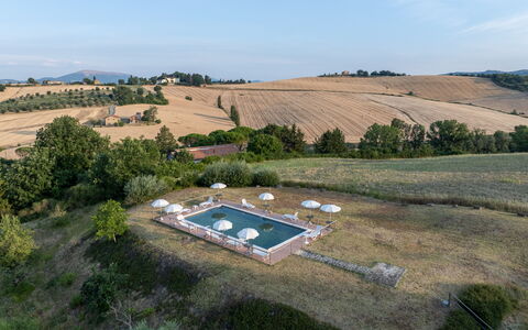 Il Giuncheto Apartments, Pool, Umbrian Countryside: Landschap, Zwembad, Plain, Land Lot, Landgoed, Luchtfotografie, Vogelperspectief, Landscaping, Plantage, Veld